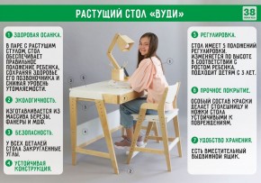 Комплект растущий стол и стул 38 попугаев «Вуди» (Серый, Без покрытия) в Карталах - kartaly.mebel-74.com | фото