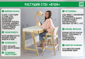 Комплект растущий стол и стул с чехлом 38 попугаев «Вуди» (Белый, Без покрытия, Салют) в Карталах - kartaly.mebel-74.com | фото