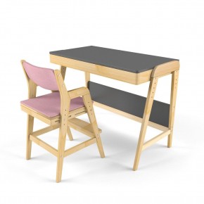 Комплект растущий стол и стул с чехлом 38 попугаев «Вуди» (Серый, Береза, Розовый) в Карталах - kartaly.mebel-74.com | фото