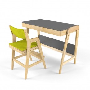 Комплект растущий стол и стул с чехлом 38 попугаев «Вуди» (Серый, Без покрытия, Грин) в Карталах - kartaly.mebel-74.com | фото