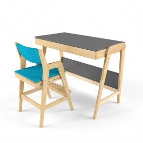 Комплект растущий стол и стул с чехлом 38 попугаев «Вуди» (Серый, Без покрытия, Лазурь) в Карталах - kartaly.mebel-74.com | фото