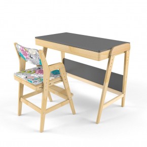 Комплект растущий стол и стул с чехлом 38 попугаев «Вуди» (Серый, Без покрытия, Мечта) в Карталах - kartaly.mebel-74.com | фото