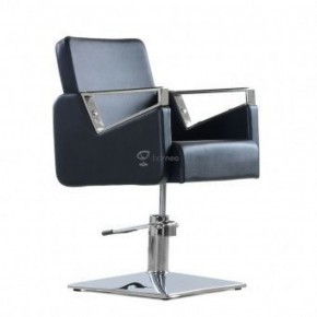 Кресло парикмахерское Barneo 6300V5 черное в Карталах - kartaly.mebel-74.com | фото