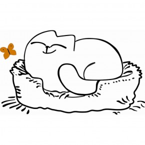 Кровать двухуровневая Кот № 900.1 ЛЕВАЯ (туя светлая/белый) в Карталах - kartaly.mebel-74.com | фото
