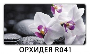 Обеденный раздвижной стол Бриз с фотопечатью Орхидея R041 в Карталах - kartaly.mebel-74.com | фото
