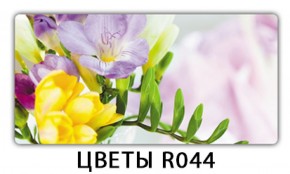 Обеденный раздвижной стол Бриз с фотопечатью Цветы R044 в Карталах - kartaly.mebel-74.com | фото