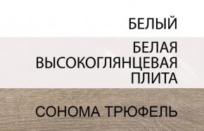 Шкаф 2D/TYP 20A, LINATE ,цвет белый/сонома трюфель в Карталах - kartaly.mebel-74.com | фото