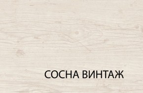 Шкаф 3DG2S, MAGELLAN, цвет Сосна винтаж в Карталах - kartaly.mebel-74.com | фото
