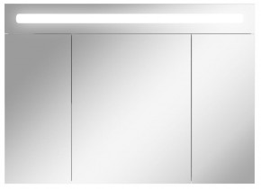 Шкаф-зеркало Аврора 100 с подсветкой LED Домино (DV8012HZ) в Карталах - kartaly.mebel-74.com | фото