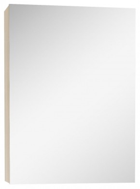 Шкаф-зеркало Мечта 40 Дуб сонома АЙСБЕРГ (DM2317HZ) в Карталах - kartaly.mebel-74.com | фото