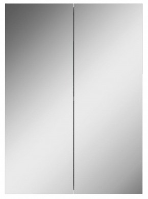 Шкаф-зеркало Норма 50 2 двери АЙСБЕРГ (DA1636HZ) в Карталах - kartaly.mebel-74.com | фото