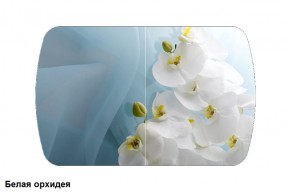 Стол Бостон 900*600 (опоры Брифинг) Стекло/фотопечать Белая Орхидея в Карталах - kartaly.mebel-74.com | фото