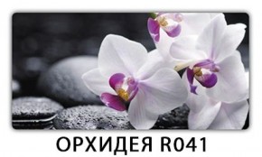 Стол обеденный Трилогия с фотопечатью Орхидея R041 в Карталах - kartaly.mebel-74.com | фото